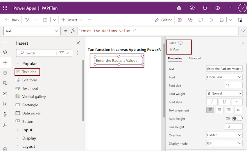 Insert a Label control